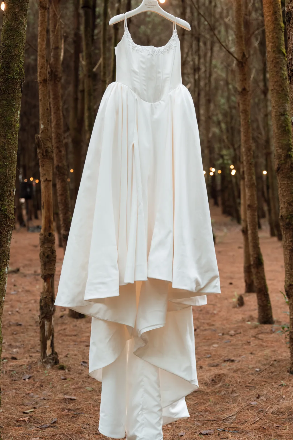 Foto principal del vestido